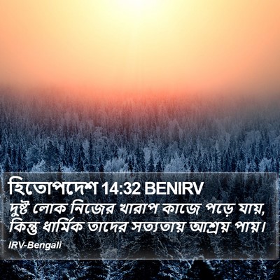 হিতোপদেশ 14:32 BENIRV Bible Verse Image