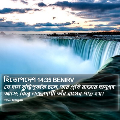 হিতোপদেশ 14:35 BENIRV Bible Verse Image