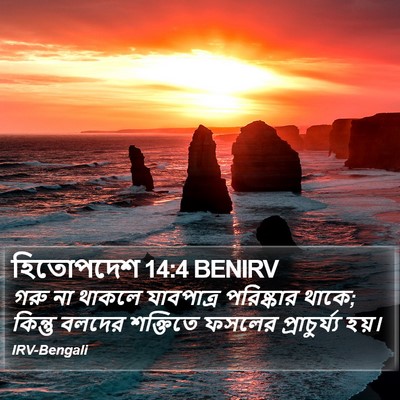 হিতোপদেশ 14:4 BENIRV Bible Verse Image