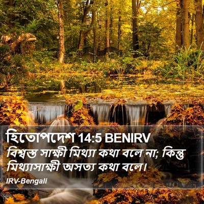 হিতোপদেশ 14:5 BENIRV Bible Verse Image