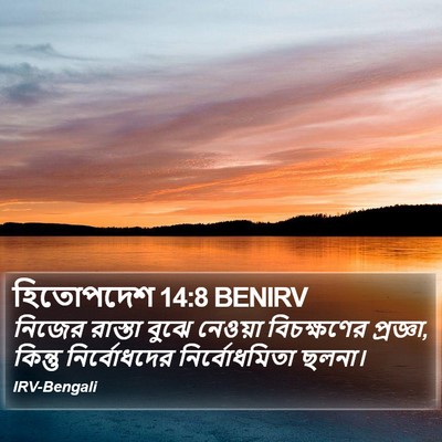 হিতোপদেশ 14:8 BENIRV Bible Verse Image
