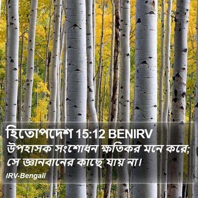 হিতোপদেশ 15:12 BENIRV Bible Verse Image