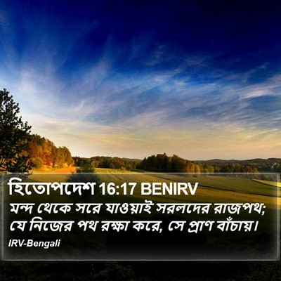 হিতোপদেশ 16:17 BENIRV Bible Verse Image