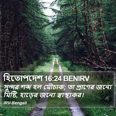 হিতোপদেশ 16:24 BENIRV Bible Verse Image