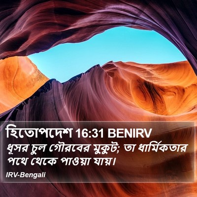 হিতোপদেশ 16:31 BENIRV Bible Verse Image