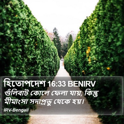হিতোপদেশ 16:33 BENIRV Bible Verse Image
