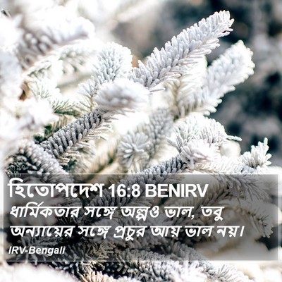হিতোপদেশ 16:8 BENIRV Bible Verse Image