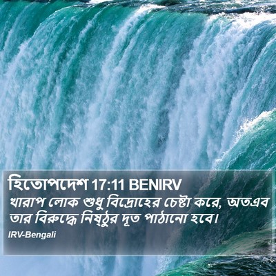হিতোপদেশ 17:11 BENIRV Bible Verse Image