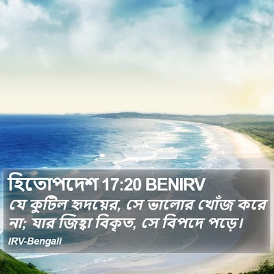 হিতোপদেশ 17:20 BENIRV Bible Verse Image