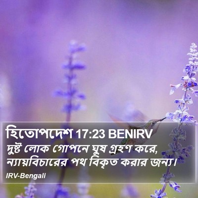 হিতোপদেশ 17:23 BENIRV Bible Verse Image
