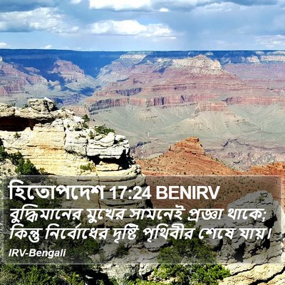 হিতোপদেশ 17:24 BENIRV Bible Verse Image