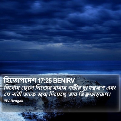 হিতোপদেশ 17:25 BENIRV Bible Verse Image