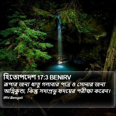 হিতোপদেশ 17:3 BENIRV Bible Verse Image