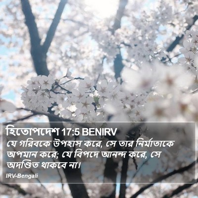 হিতোপদেশ 17:5 BENIRV Bible Verse Image
