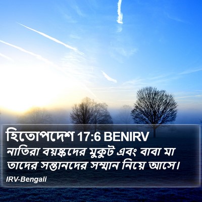 হিতোপদেশ 17:6 BENIRV Bible Verse Image