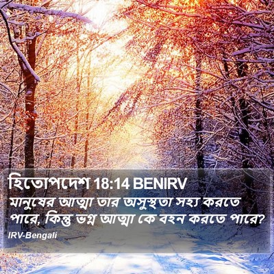 হিতোপদেশ 18:14 BENIRV Bible Verse Image