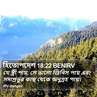 হিতোপদেশ 18:22 BENIRV Bible Verse Image