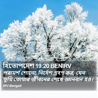 হিতোপদেশ 19:20 BENIRV Bible Verse Image