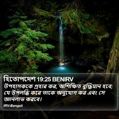 হিতোপদেশ 19:25 BENIRV Bible Verse Image