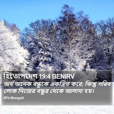 হিতোপদেশ 19:4 BENIRV Bible Verse Image