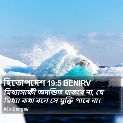 হিতোপদেশ 19:5 BENIRV Bible Verse Image