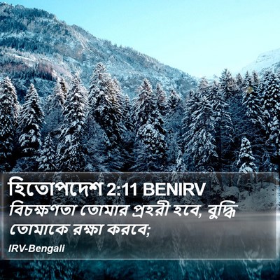 হিতোপদেশ 2:11 BENIRV Bible Verse Image