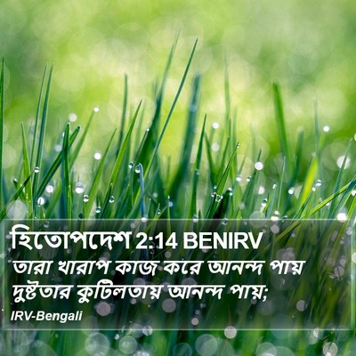 হিতোপদেশ 2:14 BENIRV Bible Verse Image