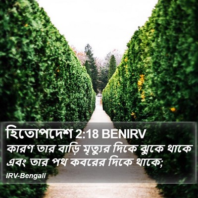 হিতোপদেশ 2:18 BENIRV Bible Verse Image