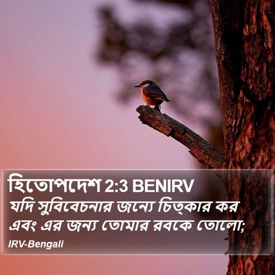 হিতোপদেশ 2:3 BENIRV Bible Verse Image