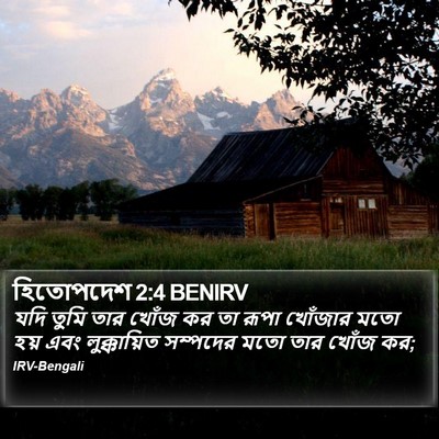 হিতোপদেশ 2:4 BENIRV Bible Verse Image