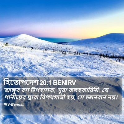 হিতোপদেশ 20:1 BENIRV Bible Verse Image