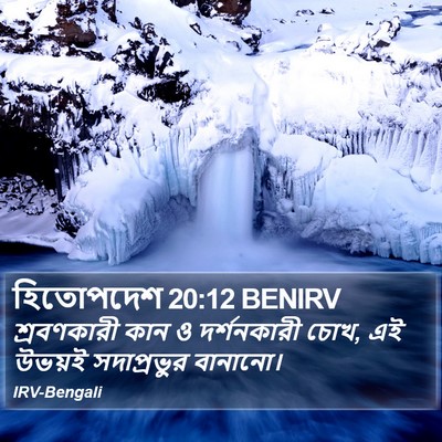 হিতোপদেশ 20:12 BENIRV Bible Verse Image