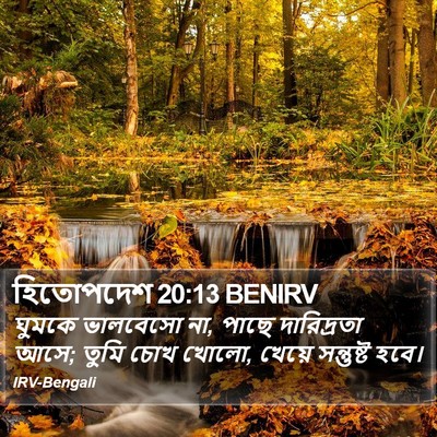 হিতোপদেশ 20:13 BENIRV Bible Verse Image