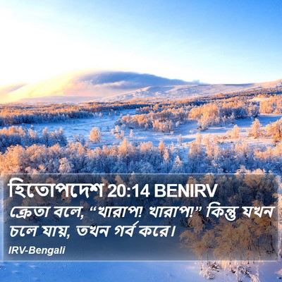 হিতোপদেশ 20:14 BENIRV Bible Verse Image