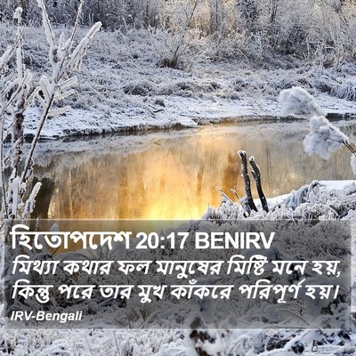 হিতোপদেশ 20:17 BENIRV Bible Verse Image