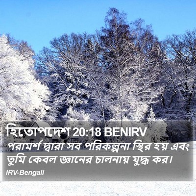 হিতোপদেশ 20:18 BENIRV Bible Verse Image