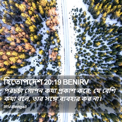 হিতোপদেশ 20:19 BENIRV Bible Verse Image