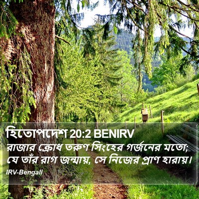 হিতোপদেশ 20:2 BENIRV Bible Verse Image