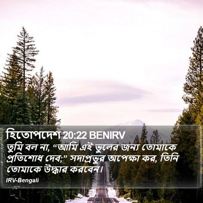 হিতোপদেশ 20:22 BENIRV Bible Verse Image