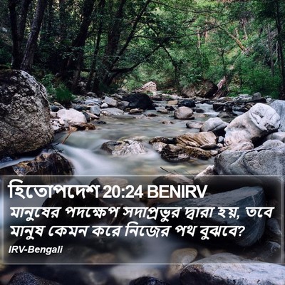 হিতোপদেশ 20:24 BENIRV Bible Verse Image