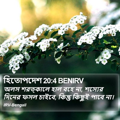হিতোপদেশ 20:4 BENIRV Bible Verse Image
