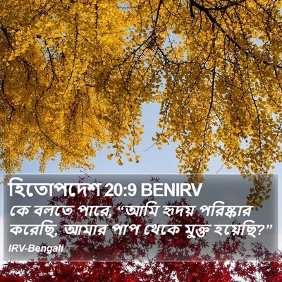 হিতোপদেশ 20:9 BENIRV Bible Verse Image