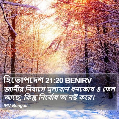 হিতোপদেশ 21:20 BENIRV Bible Verse Image