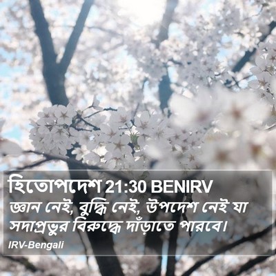 হিতোপদেশ 21:30 BENIRV Bible Verse Image