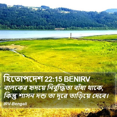 হিতোপদেশ 22:15 BENIRV Bible Verse Image