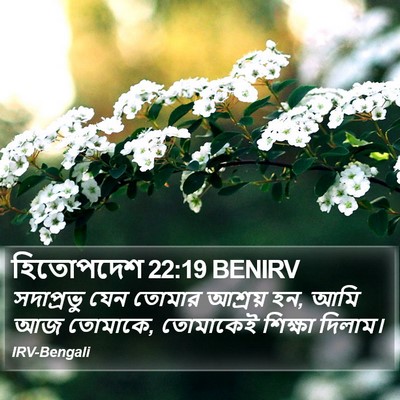 হিতোপদেশ 22:19 BENIRV Bible Verse Image