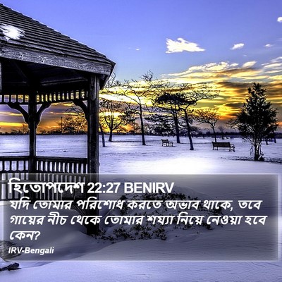 হিতোপদেশ 22:27 BENIRV Bible Verse Image