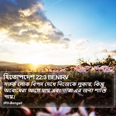 হিতোপদেশ 22:3 BENIRV Bible Verse Image