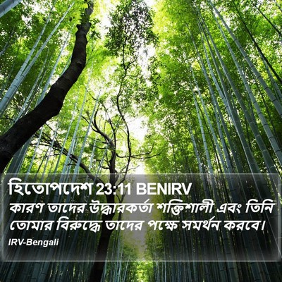 হিতোপদেশ 23:11 BENIRV Bible Verse Image