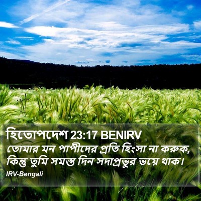 হিতোপদেশ 23:17 BENIRV Bible Verse Image